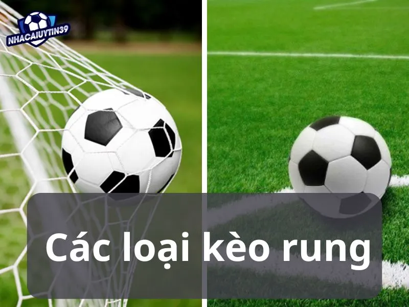 Các loại kèo rung của trận đấu